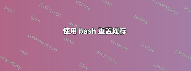 使用 bash 重置緩存