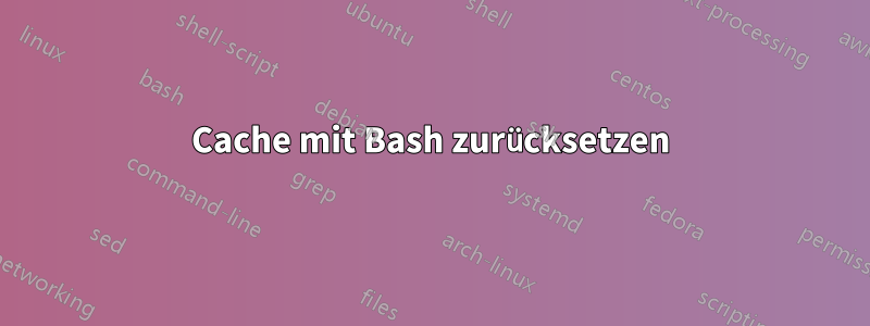 Cache mit Bash zurücksetzen