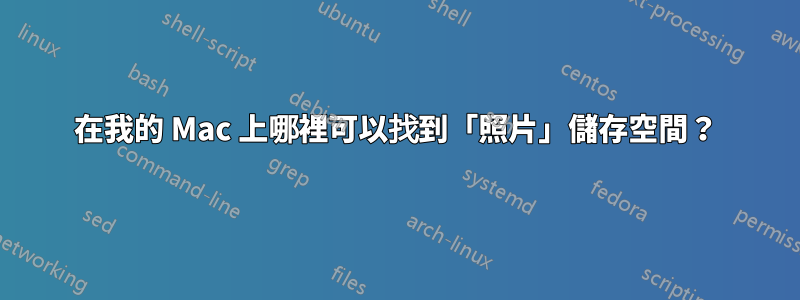 在我的 Mac 上哪裡可以找到「照片」儲存空間？