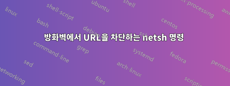 방화벽에서 URL을 차단하는 netsh 명령