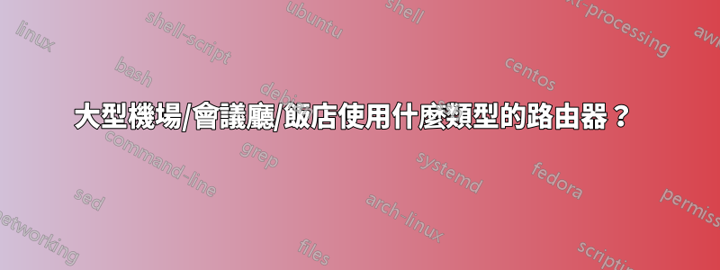 大型機場/會議廳/飯店使用什麼類型的路由器？ 