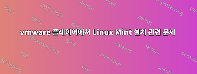 vmware 플레이어에서 Linux Mint 설치 관련 문제