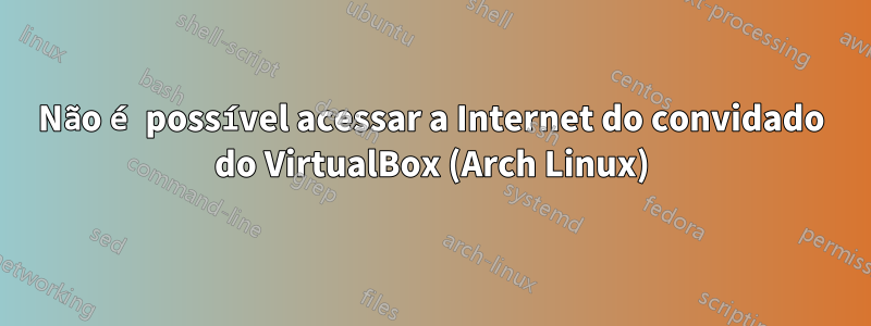 Não é possível acessar a Internet do convidado do VirtualBox (Arch Linux)