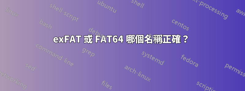 exFAT 或 FAT64 哪個名稱正確？