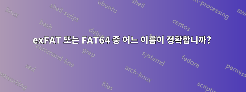 exFAT 또는 FAT64 중 어느 이름이 정확합니까?