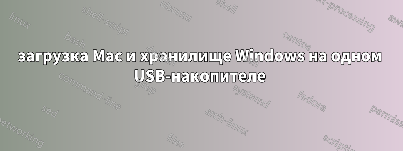 загрузка Mac и хранилище Windows на одном USB-накопителе