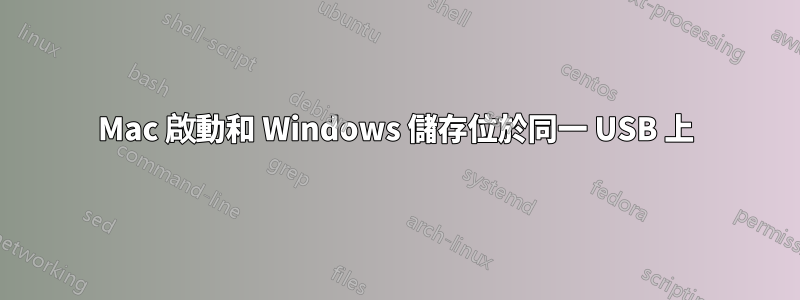 Mac 啟動和 Windows 儲存位於同一 USB 上