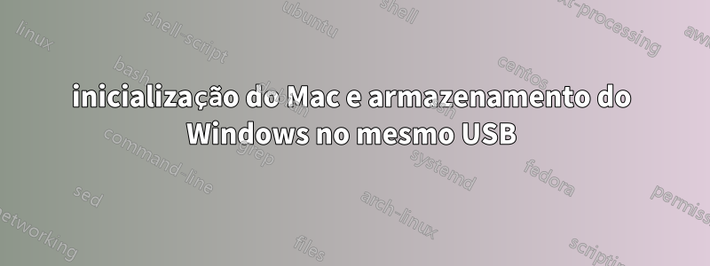 inicialização do Mac e armazenamento do Windows no mesmo USB