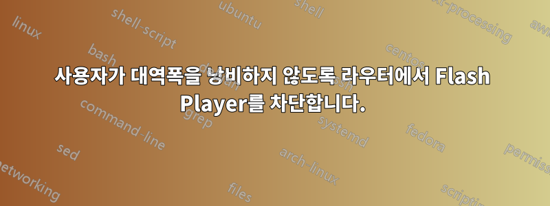 사용자가 대역폭을 낭비하지 않도록 라우터에서 Flash Player를 차단합니다.