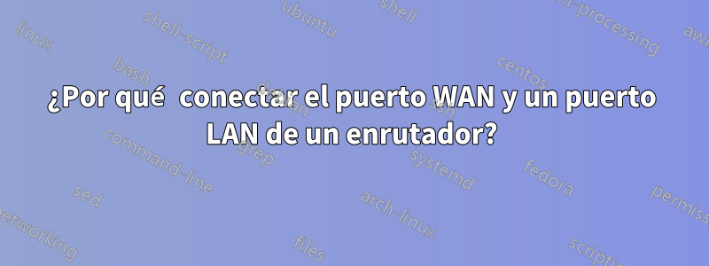 ¿Por qué conectar el puerto WAN y un puerto LAN de un enrutador?