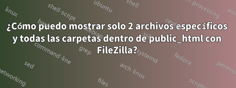 ¿Cómo puedo mostrar solo 2 archivos específicos y todas las carpetas dentro de public_html con FileZilla?