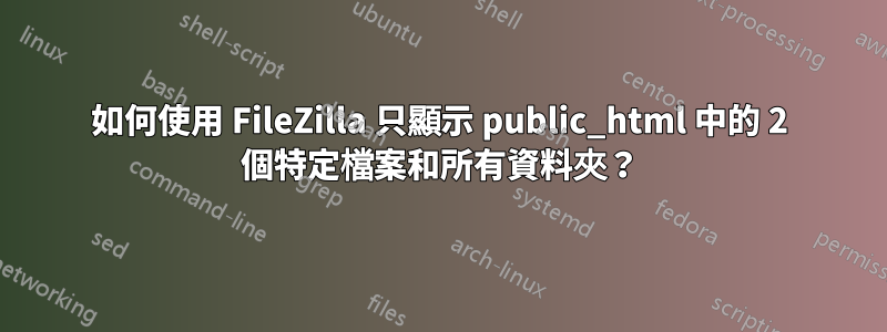 如何使用 FileZilla 只顯示 public_html 中的 2 個特定檔案和所有資料夾？