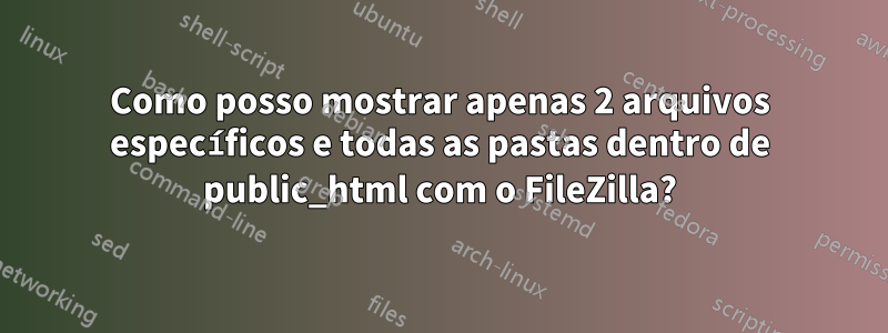 Como posso mostrar apenas 2 arquivos específicos e todas as pastas dentro de public_html com o FileZilla?