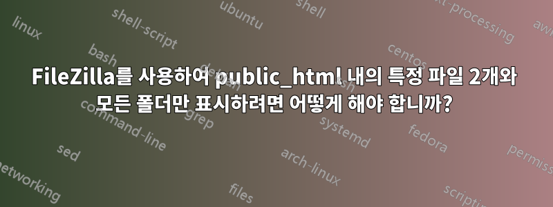 FileZilla를 사용하여 public_html 내의 특정 파일 2개와 모든 폴더만 표시하려면 어떻게 해야 합니까?