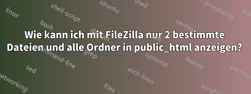 Wie kann ich mit FileZilla nur 2 bestimmte Dateien und alle Ordner in public_html anzeigen?