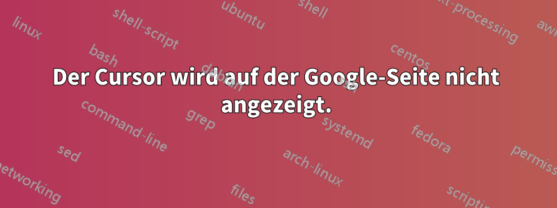 Der Cursor wird auf der Google-Seite nicht angezeigt.