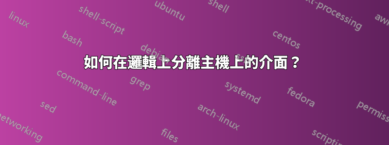 如何在邏輯上分離主機上的介面？