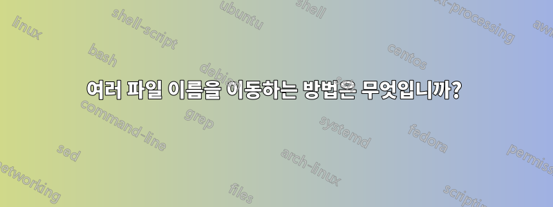 여러 파일 이름을 이동하는 방법은 무엇입니까?