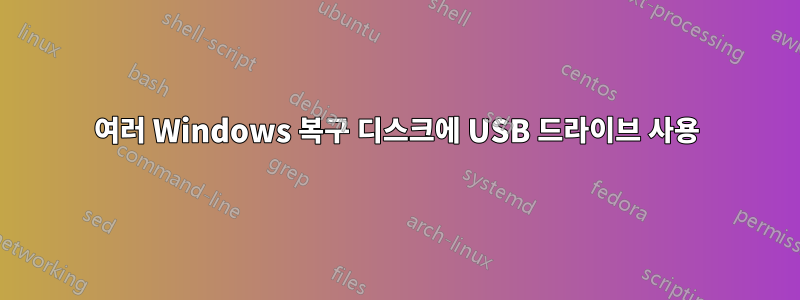 여러 Windows 복구 디스크에 USB 드라이브 사용