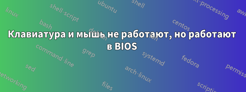 Клавиатура и мышь не работают, но работают в BIOS