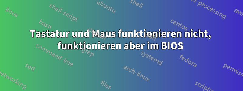 Tastatur und Maus funktionieren nicht, funktionieren aber im BIOS