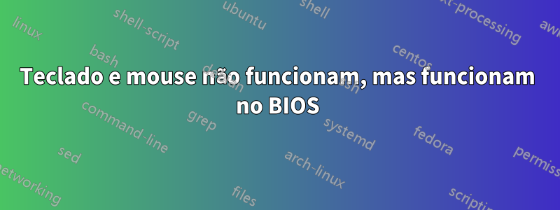 Teclado e mouse não funcionam, mas funcionam no BIOS