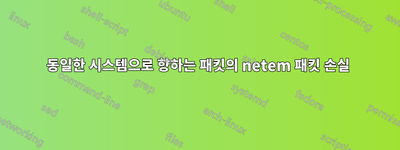 동일한 시스템으로 향하는 패킷의 netem 패킷 손실