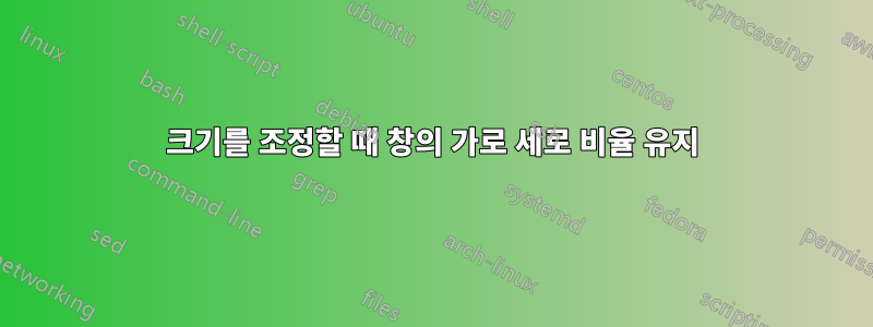 크기를 조정할 때 창의 가로 세로 비율 유지