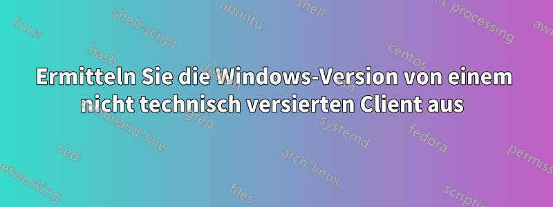 Ermitteln Sie die Windows-Version von einem nicht technisch versierten Client aus 