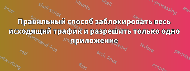 Правильный способ заблокировать весь исходящий трафик и разрешить только одно приложение