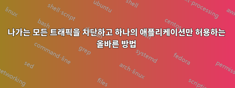 나가는 모든 트래픽을 차단하고 하나의 애플리케이션만 허용하는 올바른 방법