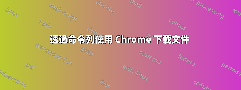 透過命令列使用 Chrome 下載文件