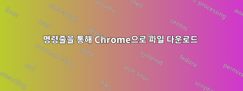 명령줄을 통해 Chrome으로 파일 다운로드