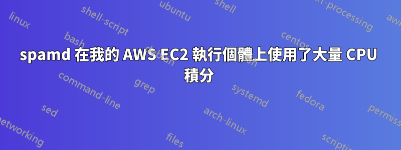 spamd 在我的 AWS EC2 執行個體上使用了大量 CPU 積分