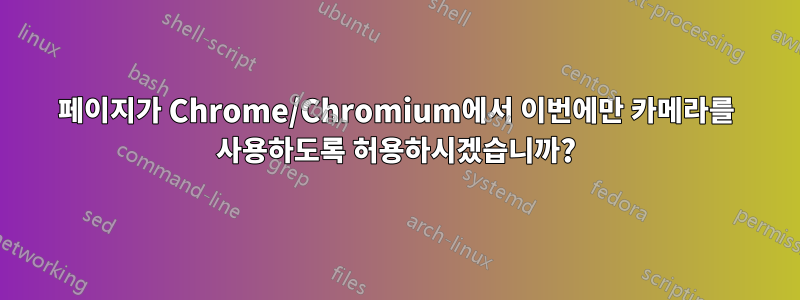 페이지가 Chrome/Chromium에서 이번에만 카메라를 사용하도록 허용하시겠습니까?