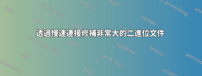 透過慢速連接修補非常大的二進位文件