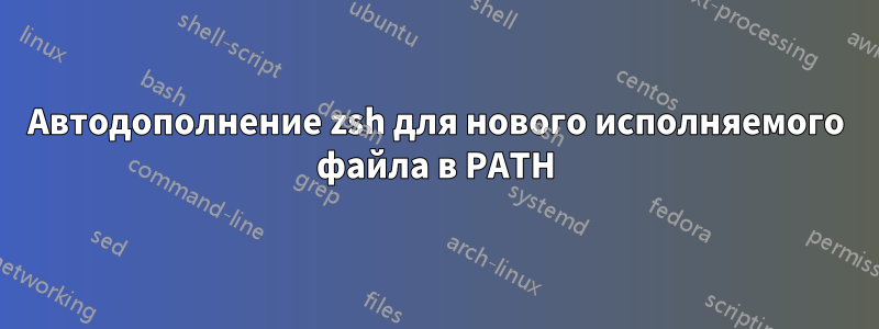 Автодополнение zsh для нового исполняемого файла в PATH