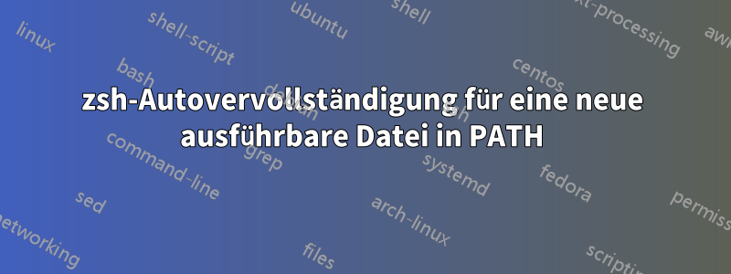 zsh-Autovervollständigung für eine neue ausführbare Datei in PATH