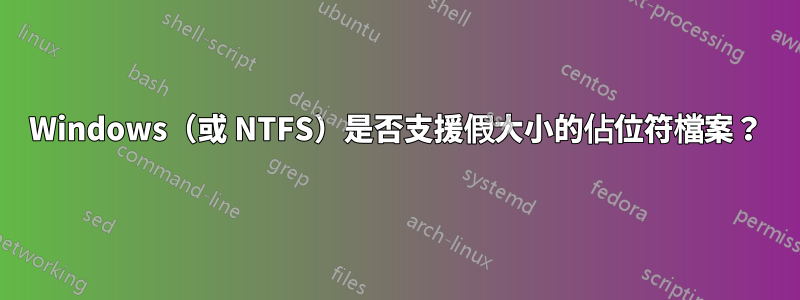 Windows（或 NTFS）是否支援假大小的佔位符檔案？