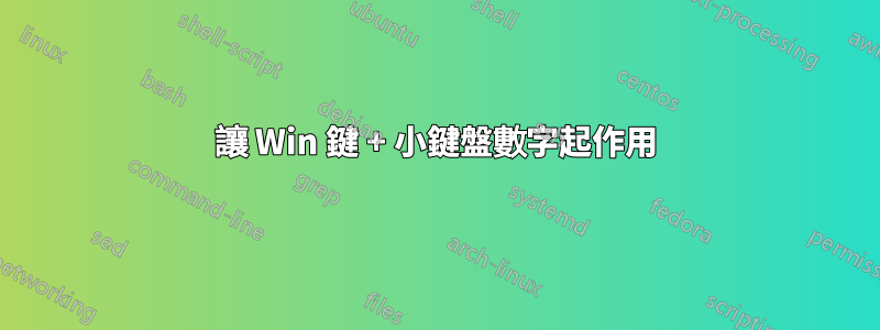 讓 Win 鍵 + 小鍵盤數字起作用