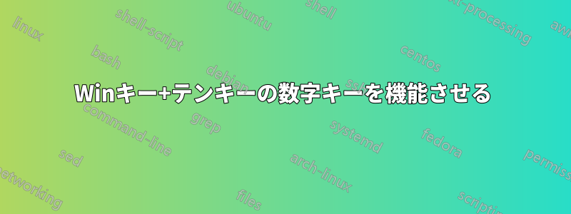 Winキー+テンキーの数字キーを機能させる