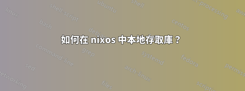 如何在 nixos 中本地存取庫？
