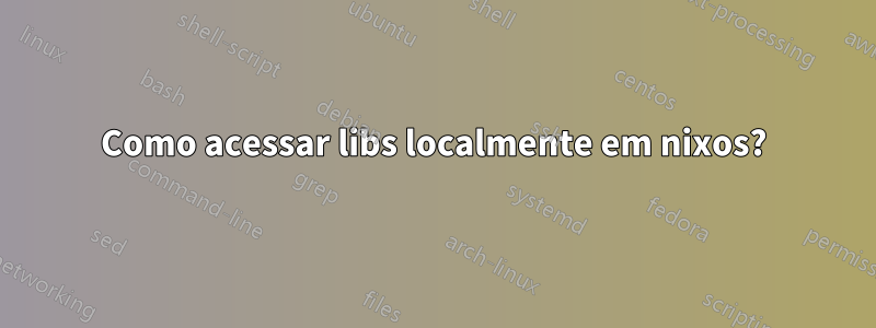 Como acessar libs localmente em nixos?