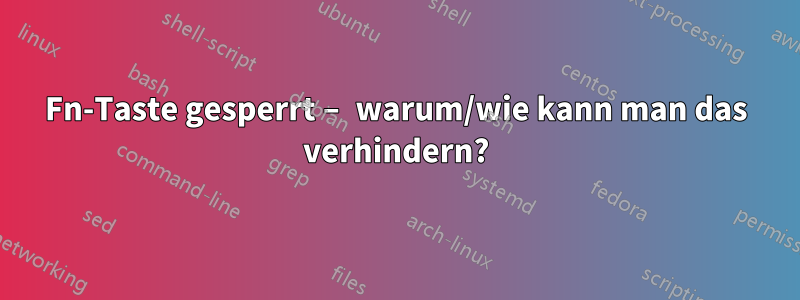 Fn-Taste gesperrt – warum/wie kann man das verhindern?