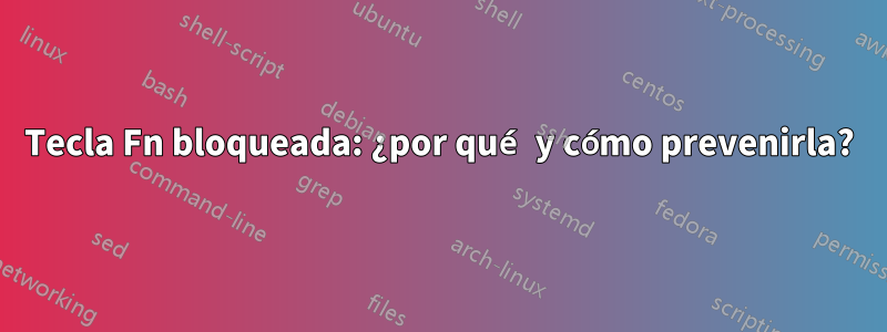 Tecla Fn bloqueada: ¿por qué y cómo prevenirla?
