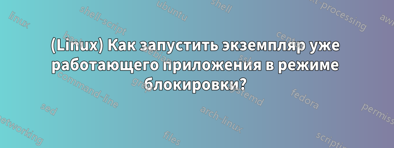 (Linux) Как запустить экземпляр уже работающего приложения в режиме блокировки?