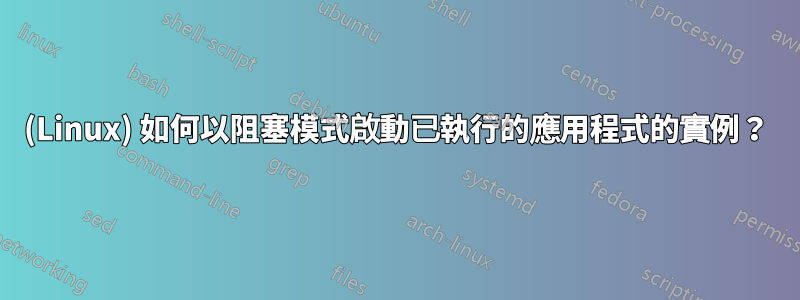 (Linux) 如何以阻塞模式啟動已執行的應用程式的實例？