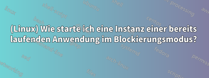 (Linux) Wie starte ich eine Instanz einer bereits laufenden Anwendung im Blockierungsmodus?
