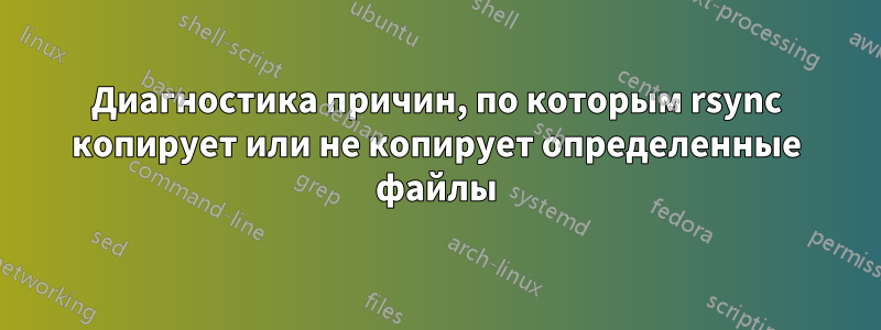Диагностика причин, по которым rsync копирует или не копирует определенные файлы