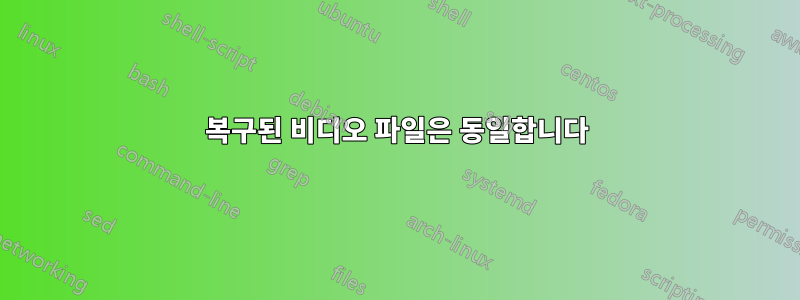 복구된 비디오 파일은 동일합니다